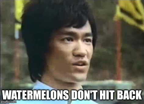 WATERMELONS DON'T HIT BACK | image tagged in bruce lee | made w/ Imgflip meme maker