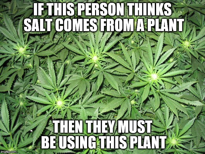 IF THIS PERSON THINKS SALT COMES FROM A PLANT THEN THEY MUST BE USING THIS PLANT | made w/ Imgflip meme maker