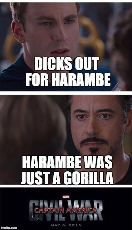 Marvel Civil War 1 | DICKS OUT FOR HARAMBE; HARAMBE WAS JUST A GORILLA | image tagged in memes,marvel civil war 1 | made w/ Imgflip meme maker