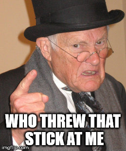 Back In My Day Meme | WHO THREW THAT STICK AT ME | image tagged in memes,back in my day | made w/ Imgflip meme maker