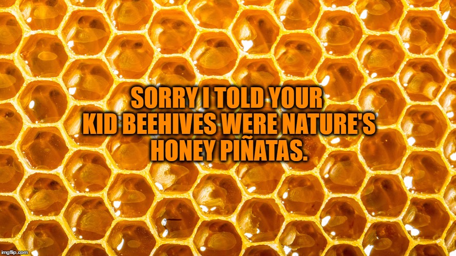 bees | SORRY I TOLD YOUR KID BEEHIVES WERE NATURE'S HONEY PIÑATAS. | image tagged in funny,kids,honey,bees,funny memes | made w/ Imgflip meme maker