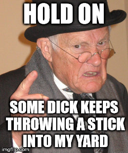 Back In My Day Meme | HOLD ON SOME DICK KEEPS THROWING A STICK INTO MY YARD | image tagged in memes,back in my day | made w/ Imgflip meme maker