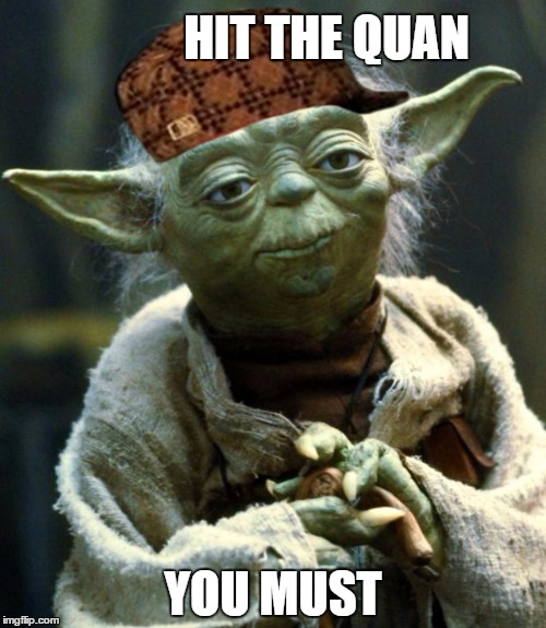 Star Wars Yoda | HIT THE QUAN; YOU MUST | image tagged in memes,star wars yoda,scumbag | made w/ Imgflip meme maker
