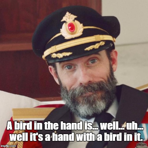 Captain Obvious | A bird in the hand is... well... uh... well it's a hand with a bird in it. | image tagged in captain obvious | made w/ Imgflip meme maker