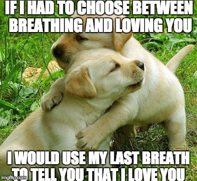 Puppy I love bro |  IF I HAD TO CHOOSE BETWEEN BREATHING AND LOVING YOU; I WOULD USE MY LAST BREATH TO TELL YOU THAT I LOVE YOU | image tagged in puppy i love bro | made w/ Imgflip meme maker
