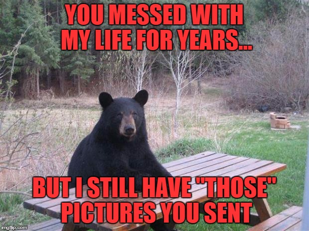 Bear of bad news | YOU MESSED WITH MY LIFE FOR YEARS... BUT I STILL HAVE "THOSE" PICTURES YOU SENT | image tagged in bear of bad news | made w/ Imgflip meme maker