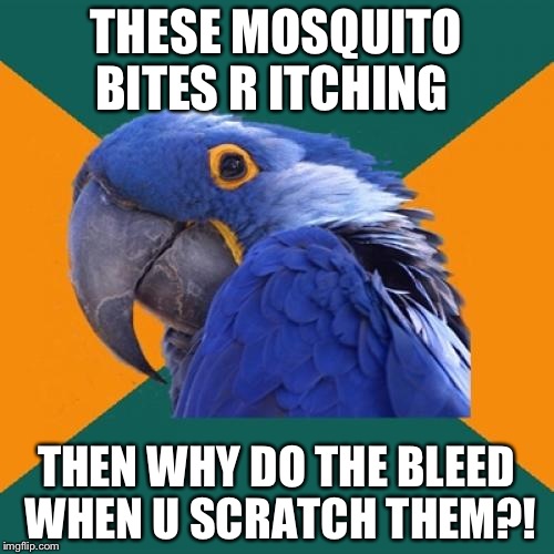 Paranoid Parrot Meme | THESE MOSQUITO BITES R ITCHING; THEN WHY DO THE BLEED WHEN U SCRATCH THEM?! | image tagged in memes,paranoid parrot | made w/ Imgflip meme maker