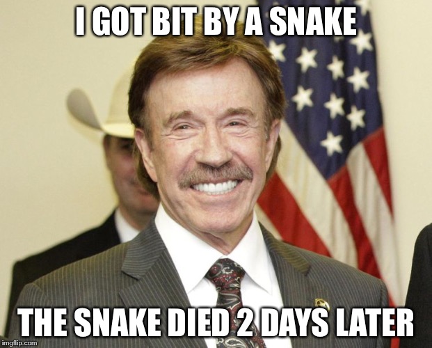 I GOT BIT BY A SNAKE; THE SNAKE DIED 2 DAYS LATER | image tagged in chuck norris | made w/ Imgflip meme maker