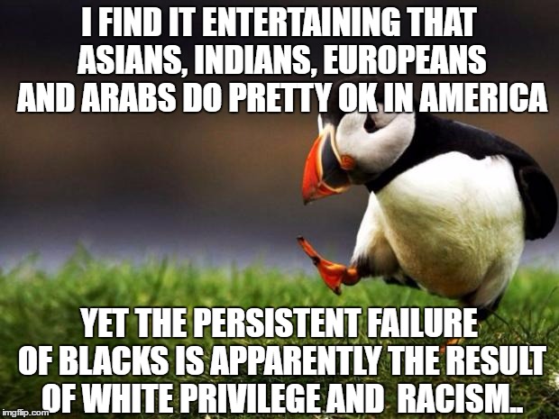 'There's institutionalized racism against Chinese students!' ..said no one ever.. | I FIND IT ENTERTAINING THAT ASIANS, INDIANS, EUROPEANS AND ARABS DO PRETTY OK IN AMERICA; YET THE PERSISTENT FAILURE OF BLACKS IS APPARENTLY THE RESULT OF WHITE PRIVILEGE AND  RACISM.. | image tagged in memes,unpopular opinion puffin | made w/ Imgflip meme maker