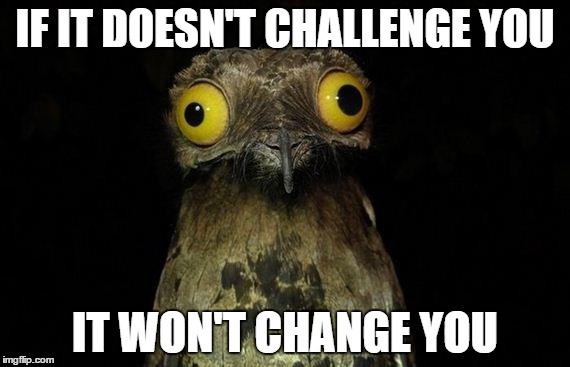 Weird Stuff I Do Potoo Meme | IF IT DOESN'T CHALLENGE YOU; IT WON'T CHANGE YOU | image tagged in memes,weird stuff i do potoo | made w/ Imgflip meme maker