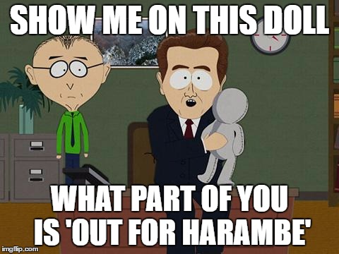 Show me on this doll | SHOW ME ON THIS DOLL; WHAT PART OF YOU IS 'OUT FOR HARAMBE' | image tagged in show me on this doll | made w/ Imgflip meme maker