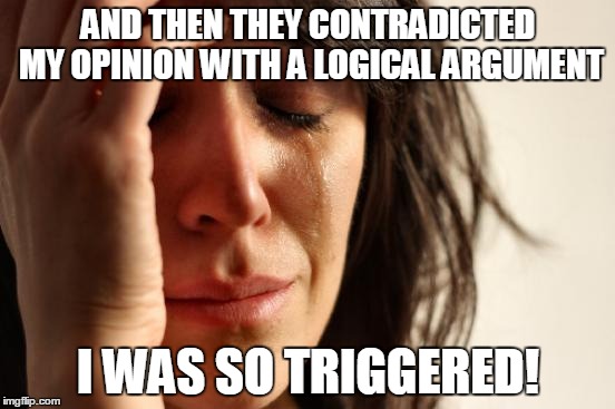 First World Problems | AND THEN THEY CONTRADICTED MY OPINION WITH A LOGICAL ARGUMENT; I WAS SO TRIGGERED! | image tagged in memes,first world problems | made w/ Imgflip meme maker