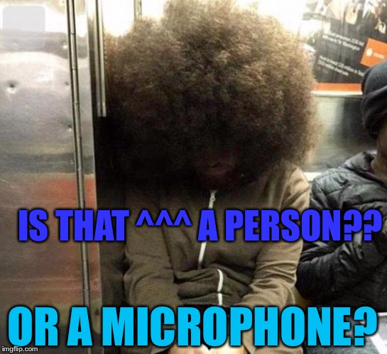 ......? | IS THAT ^^^ A PERSON?? OR A MICROPHONE? | image tagged in memes,wtf,hair,subway | made w/ Imgflip meme maker