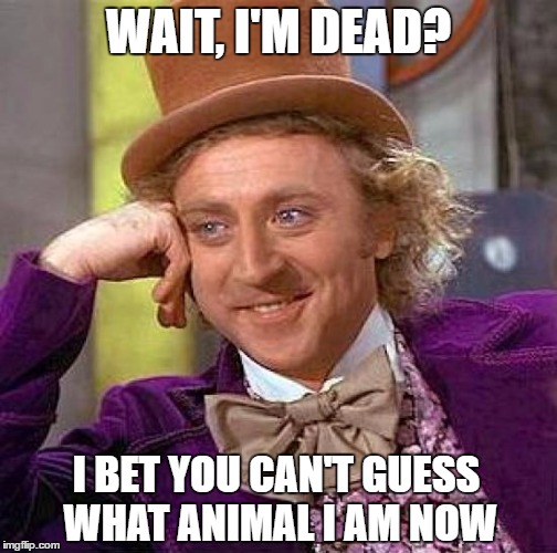 Creepy Condescending Wonka | WAIT, I'M DEAD? I BET YOU CAN'T GUESS WHAT ANIMAL I AM NOW | image tagged in memes,creepy condescending wonka | made w/ Imgflip meme maker
