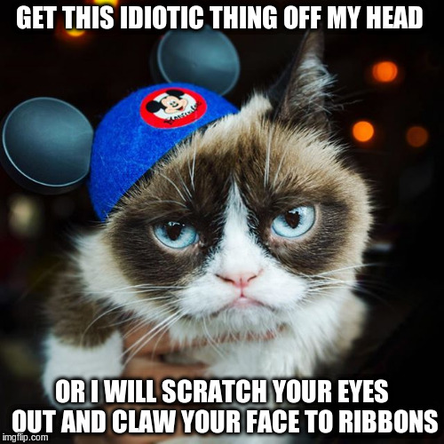 GET THIS IDIOTIC THING OFF MY HEAD; OR I WILL SCRATCH YOUR EYES OUT AND CLAW YOUR FACE TO RIBBONS | image tagged in grumpy mouseketeer | made w/ Imgflip meme maker