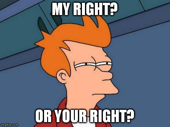 Futurama Fry Meme | MY RIGHT? OR YOUR RIGHT? | image tagged in memes,futurama fry | made w/ Imgflip meme maker