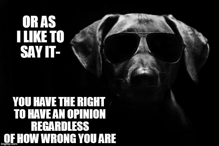 OR AS I LIKE TO SAY IT- YOU HAVE THE RIGHT TO HAVE AN OPINION REGARDLESS OF HOW WRONG YOU ARE | made w/ Imgflip meme maker