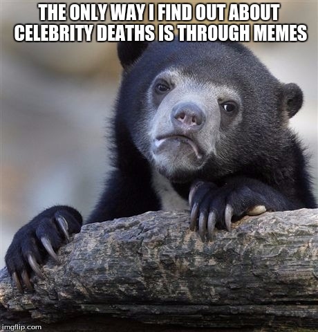 Confession Bear Meme | THE ONLY WAY I FIND OUT ABOUT CELEBRITY DEATHS IS THROUGH MEMES | image tagged in memes,confession bear | made w/ Imgflip meme maker