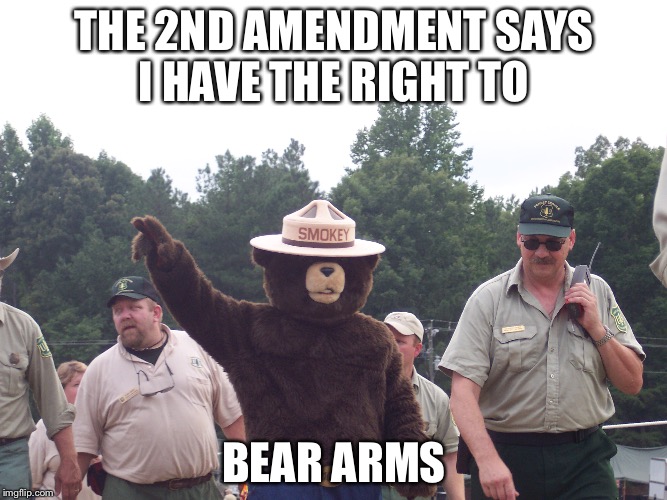 THE 2ND AMENDMENT SAYS I HAVE THE RIGHT TO; BEAR ARMS | image tagged in funny meme | made w/ Imgflip meme maker