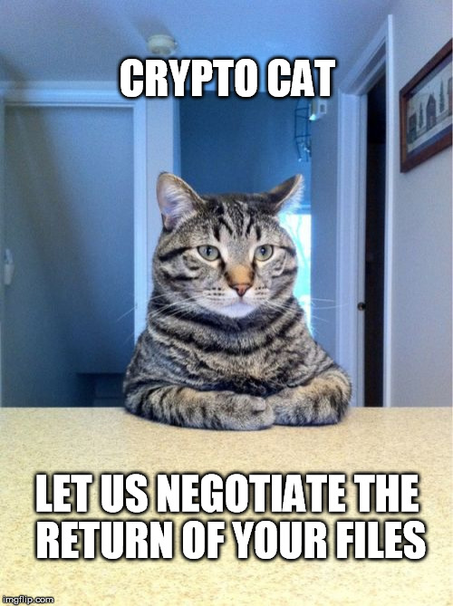 Take A Seat Cat Meme | CRYPTO CAT; LET US NEGOTIATE THE RETURN OF YOUR FILES | image tagged in memes,take a seat cat | made w/ Imgflip meme maker