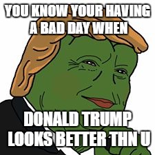 Pepe Trump | YOU KNOW YOUR HAVING A BAD DAY WHEN; DONALD TRUMP LOOKS BETTER THN U | image tagged in pepe trump | made w/ Imgflip meme maker