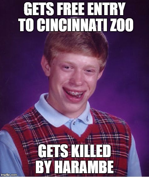 Bad Luck Brian | GETS FREE ENTRY TO CINCINNATI ZOO; GETS KILLED BY HARAMBE | image tagged in memes,bad luck brian | made w/ Imgflip meme maker