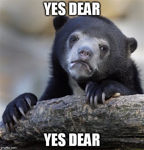 Confession Bear Meme | YES DEAR YES DEAR | image tagged in memes,confession bear | made w/ Imgflip meme maker