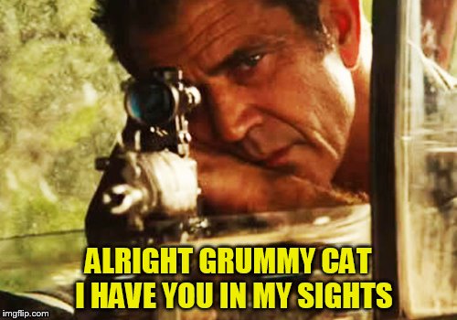 ALRIGHT GRUMMY CAT  I HAVE YOU IN MY SIGHTS | made w/ Imgflip meme maker