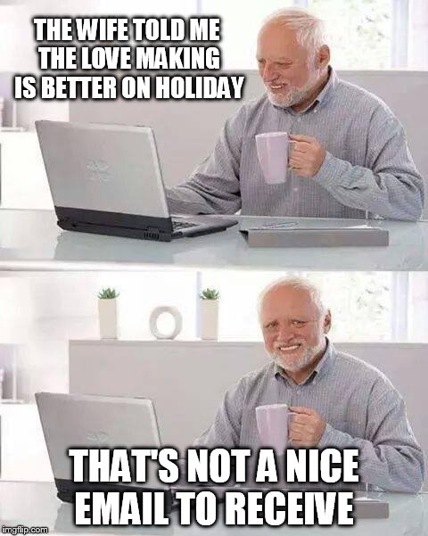 Hide the Pain Harold | THE WIFE TOLD ME THE LOVE MAKING IS BETTER ON HOLIDAY; THAT'S NOT A NICE EMAIL TO RECEIVE | image tagged in memes,hide the pain harold,funny meme,laughs,holidays,funny memes | made w/ Imgflip meme maker