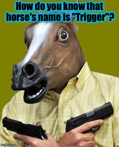 I'm not a Psychiatrist, but I'd say "Triggered" seems a more appropriate name....did I stay at a Holiday Inn Express last night! | How do you know that horse's name is "Trigger"? | image tagged in horse face trigger happy,memes,evilmandoevil | made w/ Imgflip meme maker
