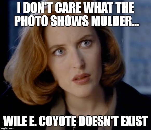 I DON'T CARE WHAT THE PHOTO SHOWS MULDER... WILE E. COYOTE DOESN'T EXIST | made w/ Imgflip meme maker