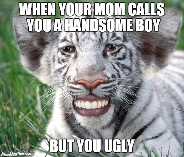 Tiger meme | WHEN YOUR MOM CALLS YOU A HANDSOME BOY; BUT YOU UGLY | image tagged in funny memes | made w/ Imgflip meme maker