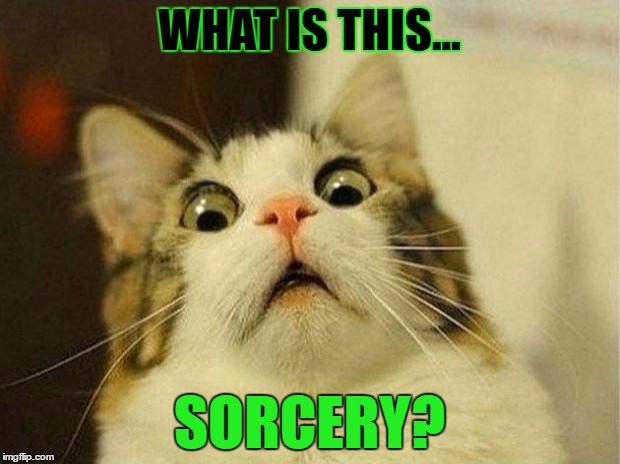 Scared Cat Meme | WHAT IS THIS... SORCERY? | image tagged in memes,scared cat,template quest,funny | made w/ Imgflip meme maker