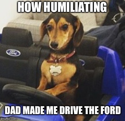 WHAT WILL THOSE BIOTCHES THINK? | HOW HUMILIATING; DAD MADE ME DRIVE THE FORD | image tagged in student,driving | made w/ Imgflip meme maker