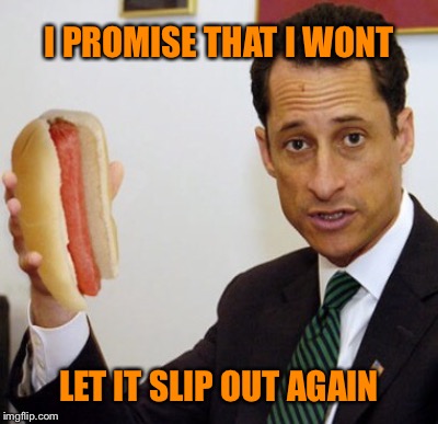SORRY--I  COULDN'T  RESIST | I PROMISE THAT I WONT; LET IT SLIP OUT AGAIN | image tagged in anthony weiner,wiener | made w/ Imgflip meme maker