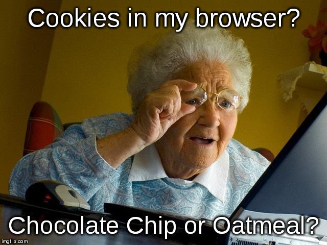 Grandma Finds The Internet Meme | Cookies in my browser? Chocolate Chip or Oatmeal? | image tagged in memes,grandma finds the internet | made w/ Imgflip meme maker