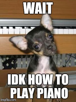WAIT; IDK HOW TO PLAY PIANO | image tagged in wtf i don't play piano | made w/ Imgflip meme maker