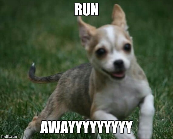 run awayyyyy | RUN; AWAYYYYYYYYY | image tagged in run awayyyyy | made w/ Imgflip meme maker