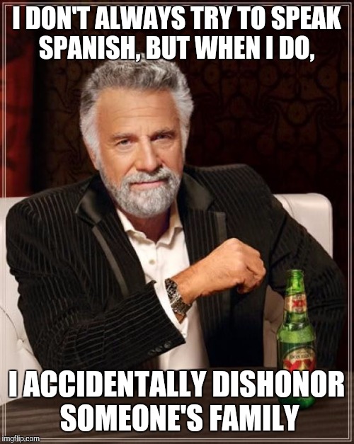 The Most Interesting Man In The World Meme | I DON'T ALWAYS TRY TO SPEAK SPANISH, BUT WHEN I DO, I ACCIDENTALLY DISHONOR SOMEONE'S FAMILY | image tagged in memes,the most interesting man in the world | made w/ Imgflip meme maker