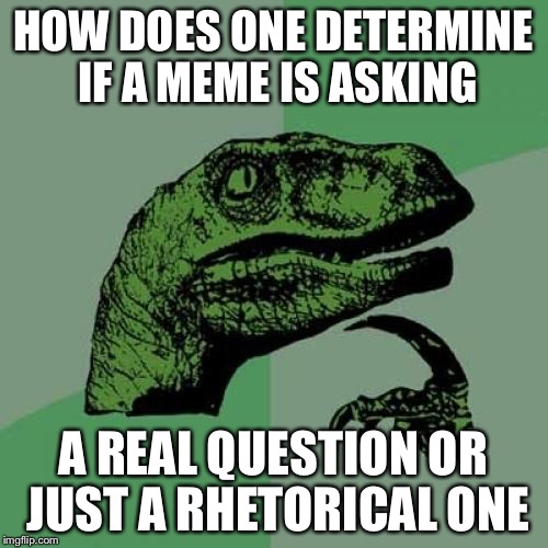 Philosoraptor | HOW DOES ONE DETERMINE IF A MEME IS ASKING; A REAL QUESTION OR JUST A RHETORICAL ONE | image tagged in memes,philosoraptor | made w/ Imgflip meme maker