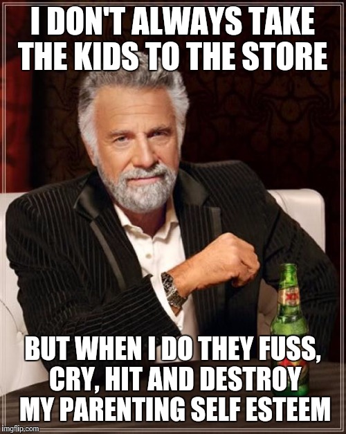 The Most Interesting Man In The World | I DON'T ALWAYS TAKE THE KIDS TO THE STORE; BUT WHEN I DO THEY FUSS, CRY, HIT AND DESTROY MY PARENTING SELF ESTEEM | image tagged in memes,the most interesting man in the world | made w/ Imgflip meme maker