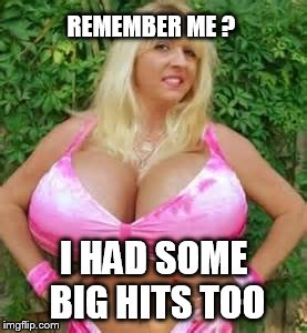 REMEMBER ME ? I HAD SOME BIG HITS TOO | made w/ Imgflip meme maker