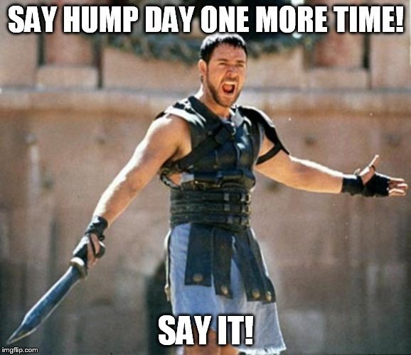 hump day | SAY HUMP DAY ONE MORE TIME! SAY IT! | image tagged in gladiator,hump day | made w/ Imgflip meme maker