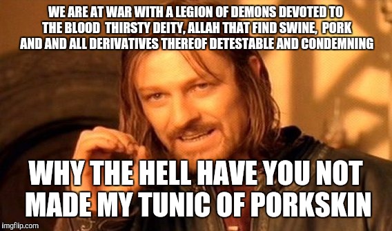 One Does Not Simply Meme | WE ARE AT WAR WITH A LEGION OF DEMONS DEVOTED TO THE BLOOD  THIRSTY DEITY, ALLAH THAT FIND SWINE,  PORK AND AND ALL DERIVATIVES THEREOF DETESTABLE AND CONDEMNING; WHY THE HELL HAVE YOU NOT MADE MY TUNIC OF PORKSKIN | image tagged in memes,one does not simply | made w/ Imgflip meme maker