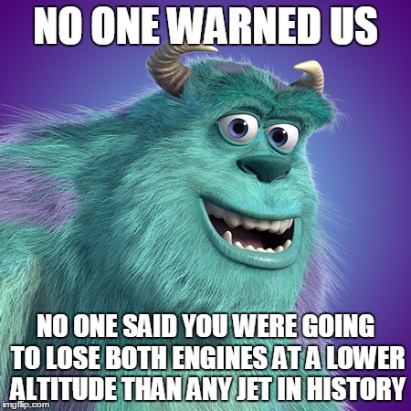 NO ONE WARNED US; NO ONE SAID YOU WERE GOING TO LOSE BOTH ENGINES AT A LOWER ALTITUDE THAN ANY JET IN HISTORY | image tagged in sully,monsters inc | made w/ Imgflip meme maker