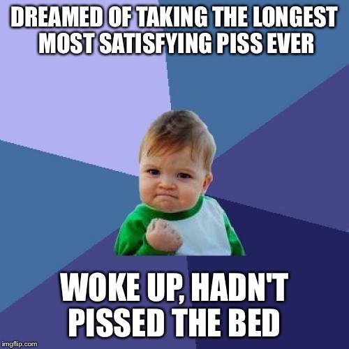 Success Kid | DREAMED OF TAKING THE LONGEST MOST SATISFYING PISS EVER; WOKE UP, HADN'T PISSED THE BED | image tagged in memes,success kid,AdviceAnimals | made w/ Imgflip meme maker