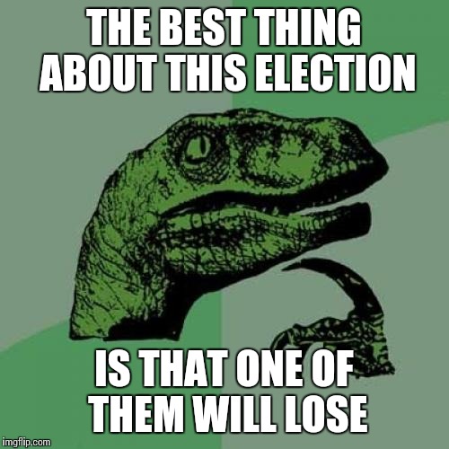 Philosoraptor | THE BEST THING ABOUT THIS ELECTION; IS THAT ONE OF THEM WILL LOSE | image tagged in memes,philosoraptor | made w/ Imgflip meme maker