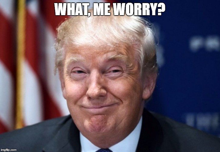 donald trump | WHAT, ME WORRY? | image tagged in donald trump | made w/ Imgflip meme maker
