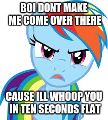 Angry Rainbow Dash | BOI DONT MAKE ME COME OVER THERE; CAUSE ILL WHOOP YOU IN TEN SECONDS FLAT | image tagged in angry rainbow dash | made w/ Imgflip meme maker