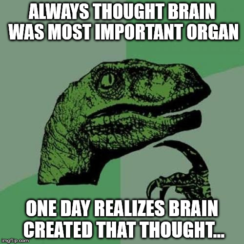 Origin of Trust Issues | ALWAYS THOUGHT BRAIN WAS MOST IMPORTANT ORGAN; ONE DAY REALIZES BRAIN CREATED THAT THOUGHT... | image tagged in memes,philosoraptor,brain,funny meme,deep thoughts | made w/ Imgflip meme maker